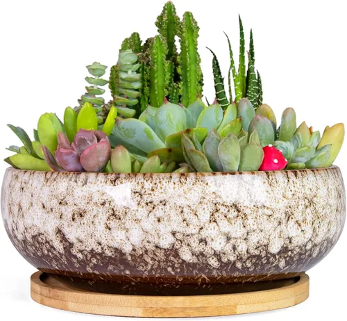 Vista 7 de ARTKETTY Macetas para Suculentas, Macetas Grandes para Suculentas de 8 Pulgadas con Drenaje, Maceta de Cerámica para Bonsái con Bandeja para Plantas