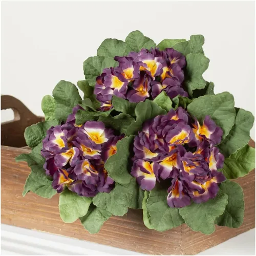 Vista 6 de 6 arbustos de violeta africana morada: tallos artificiales de flores de Polysilk Morado