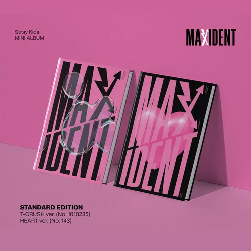 Vista 2 de STRAY KIDS - Mini álbum MAXIDENT HEART Ver. Photobook R + papel de letras + tarjetas de fotos + mini póster + calcomanía facial + 1 marco