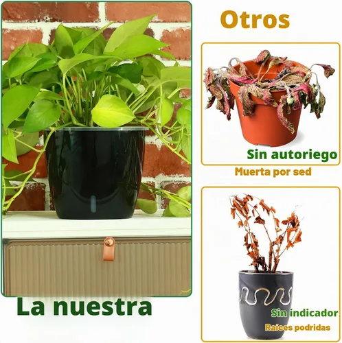 Vista 4 de Planterhoma Macetas de riego automático de 5 pulgadas para plantas de interior, 6 paquetes de macetas de violeta africana con indicador, maceta