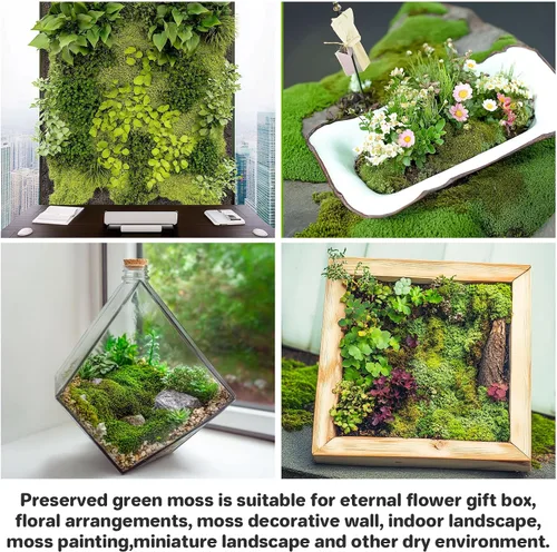 Vista 7 de Sukh Musgo preservado – Musgo de 3.5 onzas para manualidades, musgo sintético de musgo verde natural, arte para pared, terrarios de musgo floral