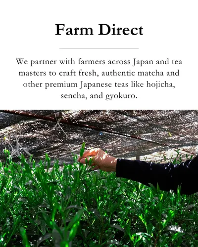 Vista 8 de Emptea Sencha Té verde japonés de hojas sueltas (orgánico) – Asamushi Primera cosecha, al vapor ligero, floral y aromático, auténtica mezcla de té