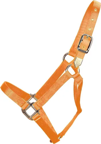 Vista 19 de Hamilton Caballo de nailon de 1 pulgada, tamaño pequeño (500-800 libras), azul baya