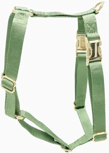 Vista 8 de Arnés de nailon para perro sin tirones con hebillas de metal doradas, arnés para perro fácil de caminar y entrenar (azul aire, XS)