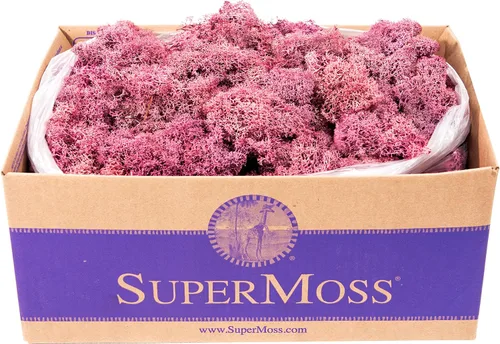 Vista 33 de Super Moss (23164) Musgo de reno preservado, fucsia, 2 onzas Musgo preservado suave, decoración del hogar, manualidades y terrarios, diseño