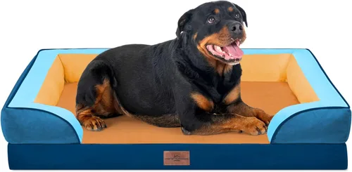 Vista 162 de Comfort Expression - Cama ortopédica para perros medianos, 28 x 19 pulgadas, cama impermeable y de apoyo de espuma con cojines removibles, sofá