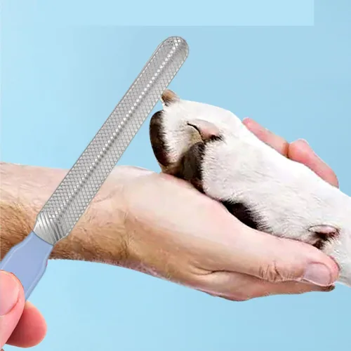 Vista 7 de Kit de aseo de 6 piezas con cepillo, removedor de pelo, cepillo de champú, peine de doble cara, cortaúñas y recortadora para conejos, hámsters