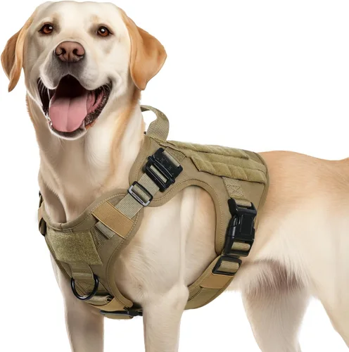 Vista 35 de rabbitgoo - Arnés táctico para perros pequeños, arnés resistente para mascotas con asa, chaleco de servicio sin tirones para razas pequeñas, chaleco