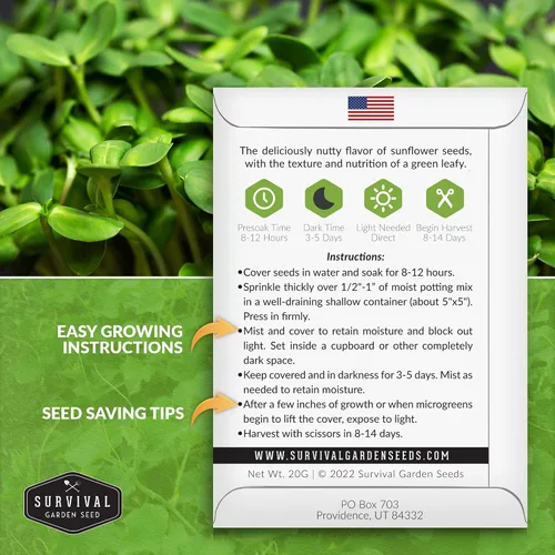 Vista 2 de Semillas de microgreens de girasol para brotar – Planta y cultiva brotes de nuez y crujientes llenos de proteínas y vitaminas – Heirloom de rápido