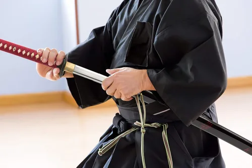 Vista 7 de HMS Espada samurai wakizashi japonesa, Oda Nobunaga Tsuba, forjada a mano, acero al carbono 1045, templado con calor, espiga completa, afilada oda