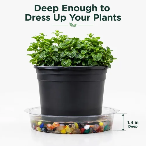 Vista 5 de Gardzen Platos de plástico transparente resistente para plantas, bandeja para macetas, excelente para plantas de interior y exterior