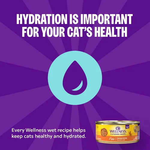 Vista 3 de Wellness Complete Health - Paquete variado de paté de comida húmeda enlatada para gatos adultos, natural, rica en proteínas, sin granos, favoritos