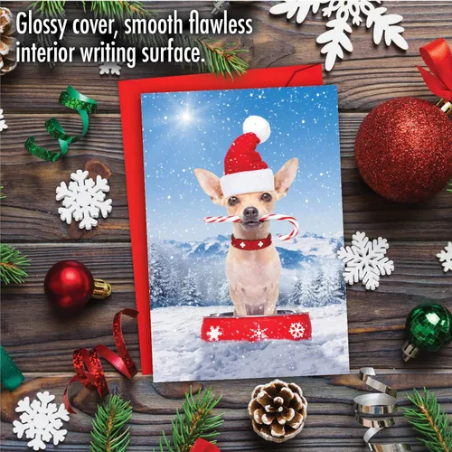Vista 3 de The Best Card Company - Tarjeta de felicitación de Feliz Navidad con sobre (4.63 x 6.75 pulgadas) - Canine Antics C3194GXSG