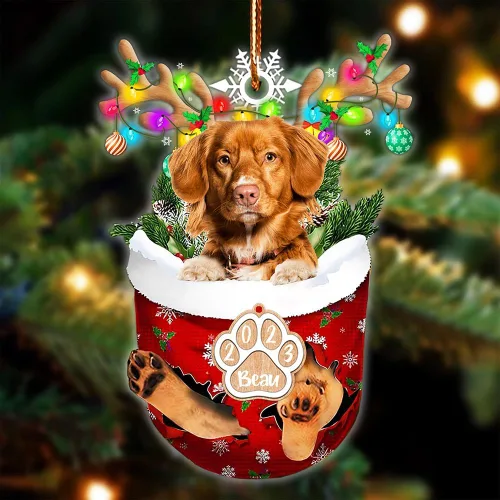 Vista 70 de NAZENTI Adorno Navideño de Bolsillo Personalizado de Affenpinscher en la Nieve, Adorno de Forma Acrílica de Perro, Adorno de Navidad 2023, Adorno