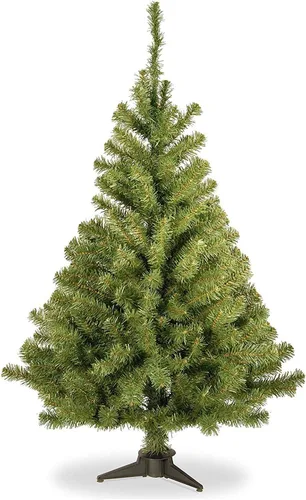 Vista 5 de National Tree Company 3ft Unlit Kincaid Spruce Mini Christmas Tree