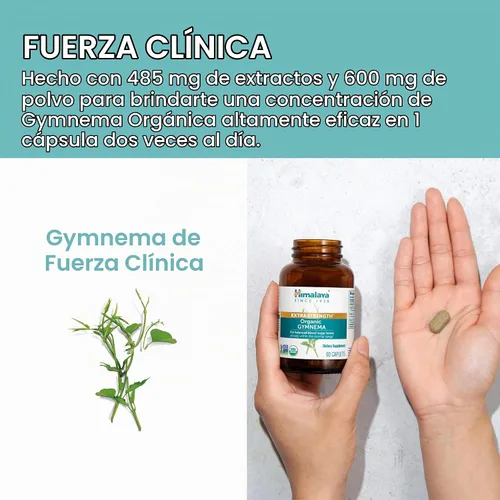 Vista 6 de Himalaya Extra Strength USDA Organic Gymnema Sylvestre Extracto, 1085 mg, 60