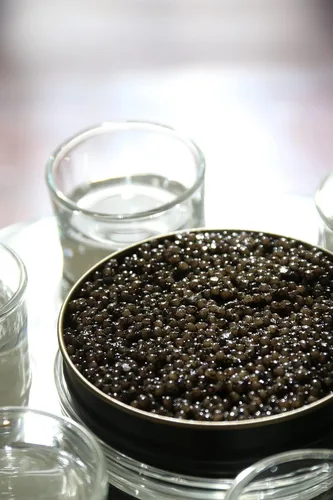 Vista 8 de Royal Amber Siberian Caviar - Huevas de esturión Baerii - Dinastía Cru (1 onza (0.99 oz))