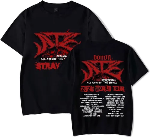 Vista 6 de KPOP Skz Merch Camiseta Nuevo Álbum Oddinary Jisung Felix Hyunjin Woojin Minho Changbin Camiseta Unisex Top