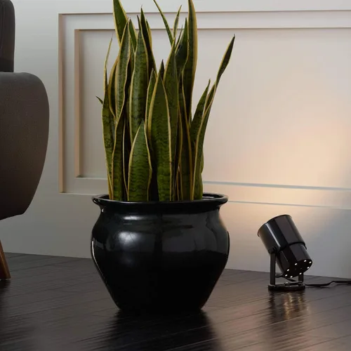 Vista 3 de Pro Track Foco pequeño de iluminación LED de acento para interiores, enchufable, direccional ajustable, planta de piso decorativa para el hogar