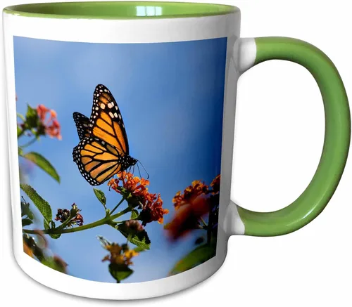 Vista 9 de 3dRose USA, California. Monarch butterfly on lantana flower. 15oz Two-Tone Black Mug