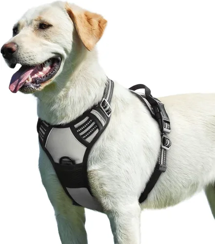 Vista 46 de Eagloo Arnés para perro pequeño, sin tirones, chaleco de servicio con tiras reflectantes y asa de control, ajustable y cómodo para caminar, arnés