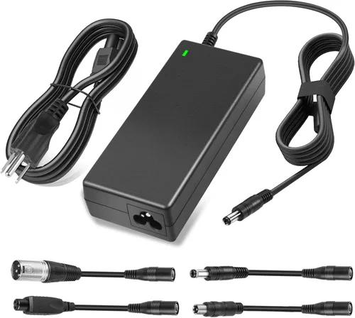 Vista 11 de TREE.NB Cargador eléctrico de la vespa de 42V 2A para la batería del Li-ion