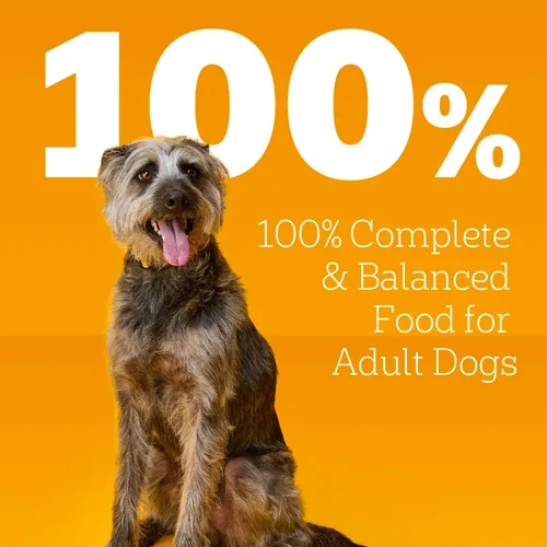 Vista 5 de Pedigree Comida húmeda suave para perros adultos picada molida con carne de res, latas de 13.2 onzas, 12