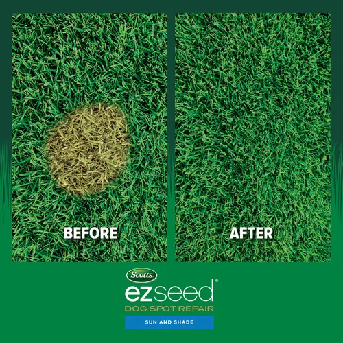 Vista 3 de Scotts EZ Seed - Reparación de manchas para perros con sol y sombra, 2 libras