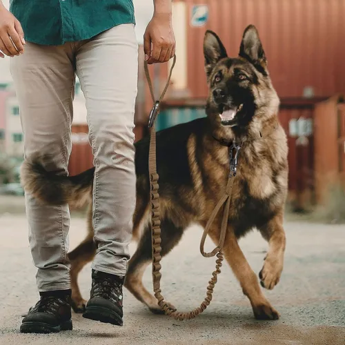 Vista 7 de EXCELLENT ELITE SPANKER Correa táctica elástica para perros con bungee, correa militar ajustable de liberación rápida con 2 asas de control (Negro)