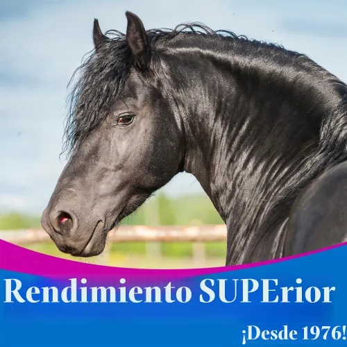Vista 5 de SU-PER - Suplemento de Chasteberry para caballos, líquido de 1 cuarto