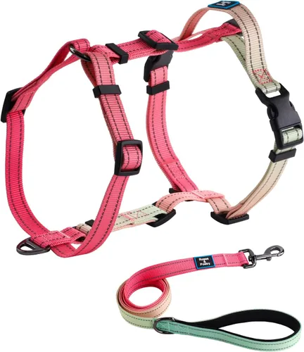 Vista 7 de Roses&Poetry Juego de arnés y correa para cachorros y perros, arnés para perros sin tirones ajustable reflectante, arneses de halter para perros