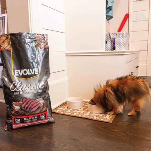 Vista 12 de Evolve Pet Food Classics Receta de carne deshuesada, cebada y bisonte, 3.5 libras