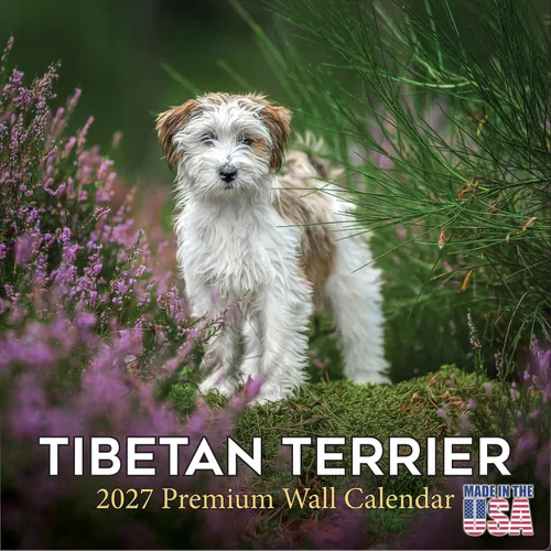 Vista 214 de Calendario de Lebrel Afgano 2025 2026, calendario mensual de pared de raza canina, 12" x 18" abierto, papel grueso sin traspaso, ideal para regalo
