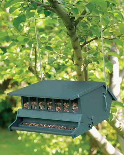 Vista 5 de Audubon Bird Delight - Comedero para pájaros resistente a las ardillas, modelo 7511i