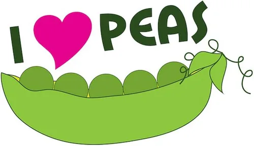 Vista 2 de CafePress Calcomanía rectangular para parachoques con texto en inglés "I Love Peas
