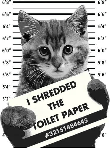 Vista 9 de Divertida decoración de pared de baño de gato, póster de decoración del hogar de 8 x 10 pulgadas, para baño, baño de invitados, tocador, regalo