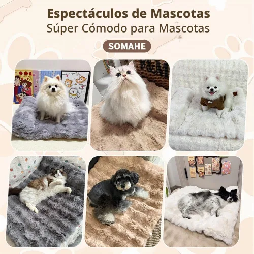 Vista 9 de SOMAHE Cama para gatos y alfombrilla para perros pequeños, almohada elevada Blanco