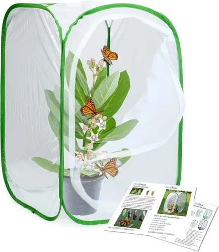 Vista 14 de RESTCLOUD Jaula de hábitat para insectos y mariposas, 12 x 12 x 12 in