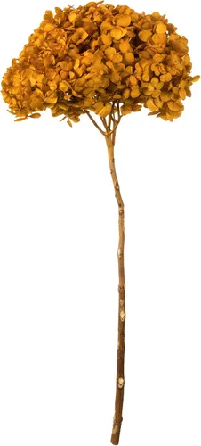 Vista 14 de Vickerman Hortensias de musgo antiguo de 15 pulgadas con múltiples segmentos de rama. Conservada