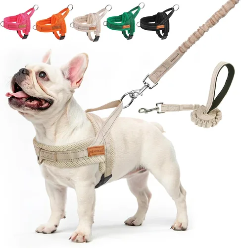 Vista 39 de BEAUTYZOO Arnés para Perros Pequeños, Juego de Arnés y Correa sin Tirones, Arnés de Pecho para Cachorros a Prueba de Escapes con Mango, Arnés Beige