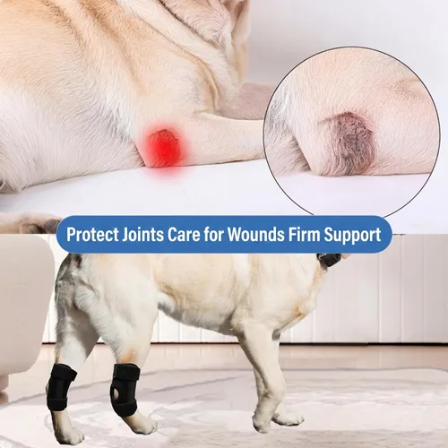 Vista 3 de Paquete de 2 protectores de codo de perro para recuperación, protección y prevención de esguinces y lesiones, S/M/L, ofrece soporte para el codo