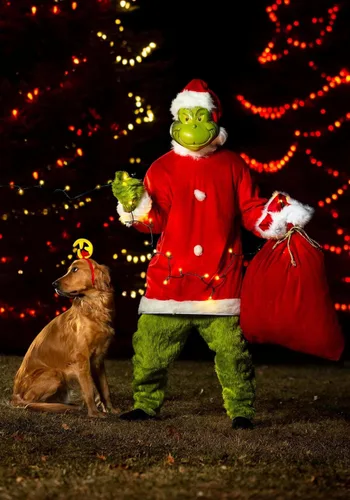 Vista 8 de Dr Seuss The Grinch Santa Deluxe Costume with Mask XXL