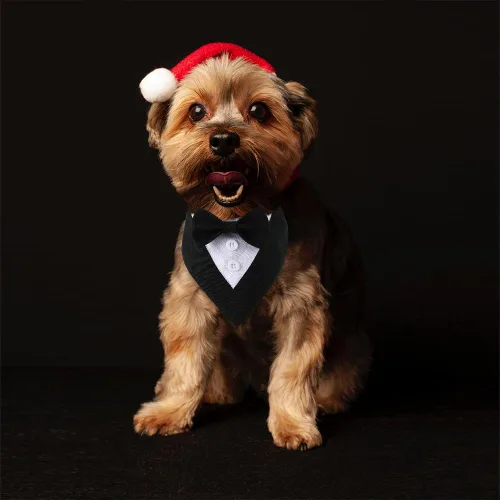 Vista 4 de Bandana de esmoquin, collar ajustable para mascotas con lazo para perros pequeños, medianos y grandes, ropa formal de boda, regalos de cumpleaños