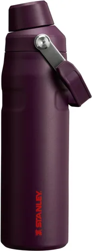 Vista 68 de STANLEY IceFlow Botella de agua de flujo rápido de 24 onzas Tapa con boquilla inclinada Ligera y a prueba de fugas para viajes y deportes Polar