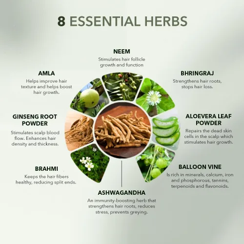 Vista 5 de H5 Grow+ Suplemento vitamínico para el cabello, biotina, hierbas ayurvédicas y 5 grupos de nutrientes para el crecimiento, densidad y fuerza
