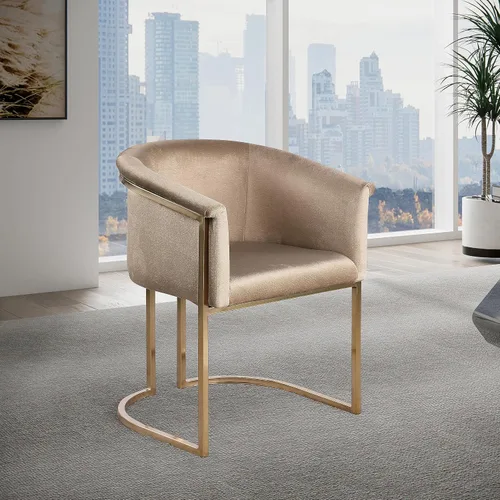 Vista 2 de Meridian Furniture 758Beige-C Tierra Collection Modern Silla de comedor tapizada contemporánea con lujoso terciopelo beige, acabado de latón