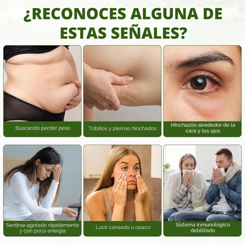 Vista 7 de Suplemento de drenaje linfático - 90 cápsulas Complejo de hierbas 21 en 1 con equinácea, diente de león y raíz de bardana Apoya el equilibrio