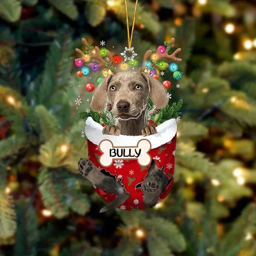 Vista 143 de IZI POD Affenpinscher Adorno de Navidad personalizado para perro, adorno de bolsillo de nieve para perro para árbol de Navidad, adorno acrílico