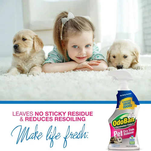 Vista 15 de OdoBan Pet Solutions Oxy - Removedor de manchas, fabricado en los Estados Unidos, paquete de 2, aerosoles de 32 onzas cada uno, y concentrado