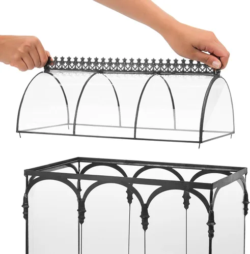 Vista 4 de Terrario grande de vidrio para plantas suculentas, contenedor tipo caja Wardian de H Potter WAR150